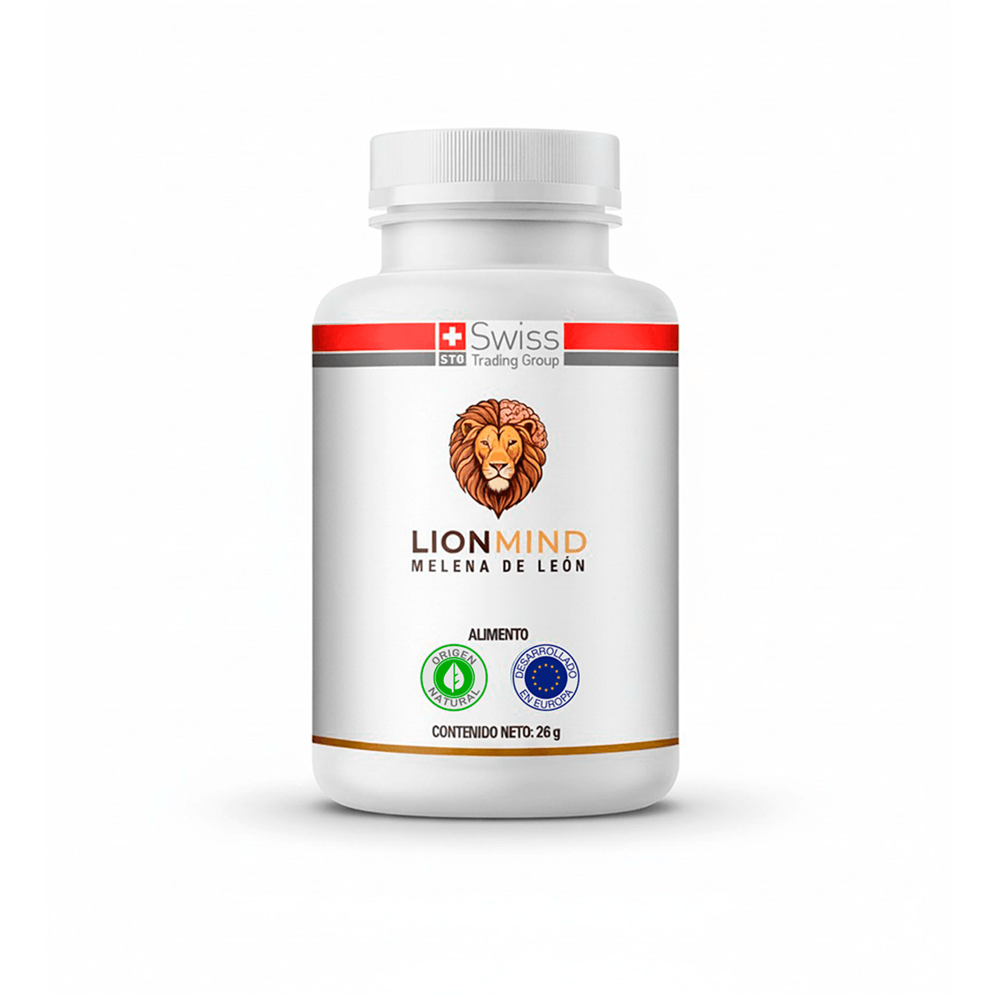 Gray helmet for bikers